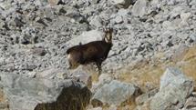 09 Charmante rencontre